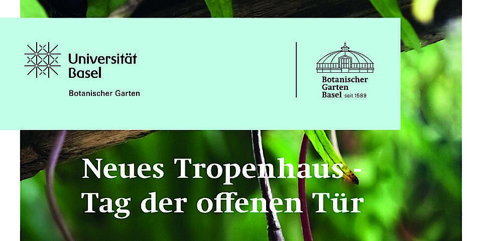 Univ Basel Botanischer Garten Flyer Tropenhauseröffnung Mai 2023