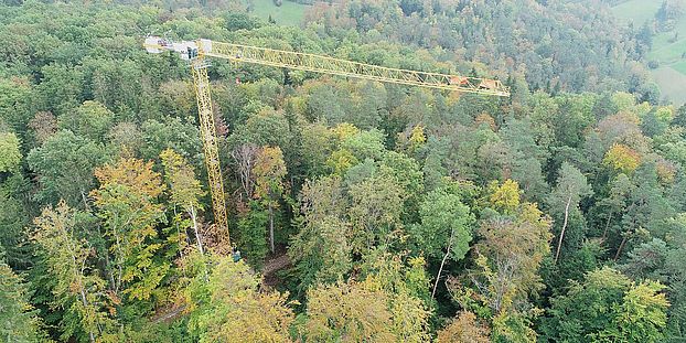 Hölstein Canopy Crane image: David Basler