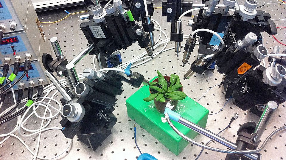 Set-up for signal measurements