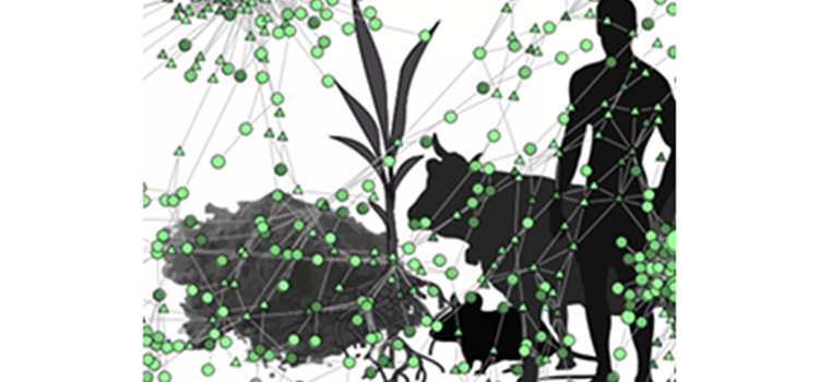 microbiomes summer school flyer