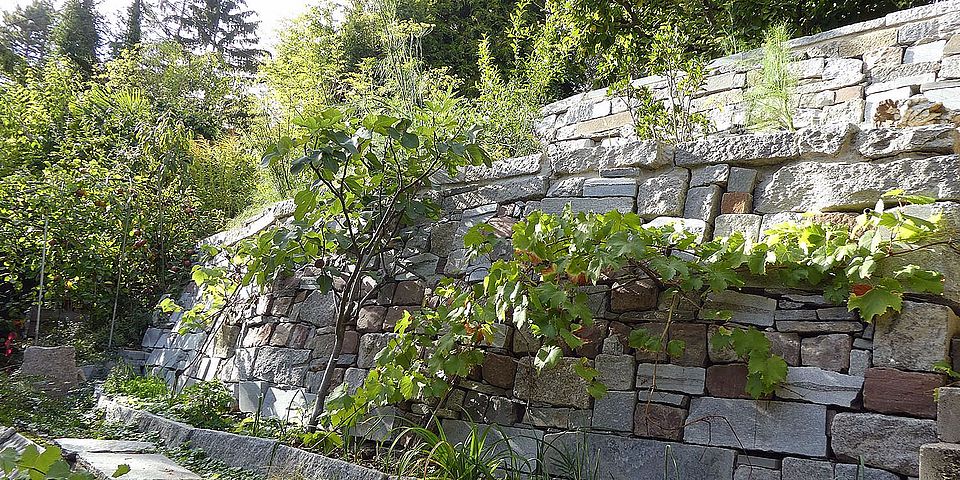 trockenmauer