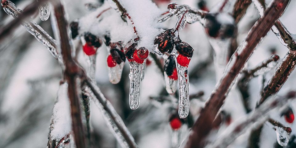 Photo by Jordan Benton from Pexels