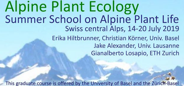 Flyer Summer School Furka 2019