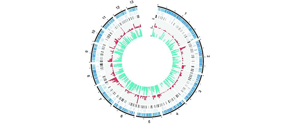 Fig 2 Croll