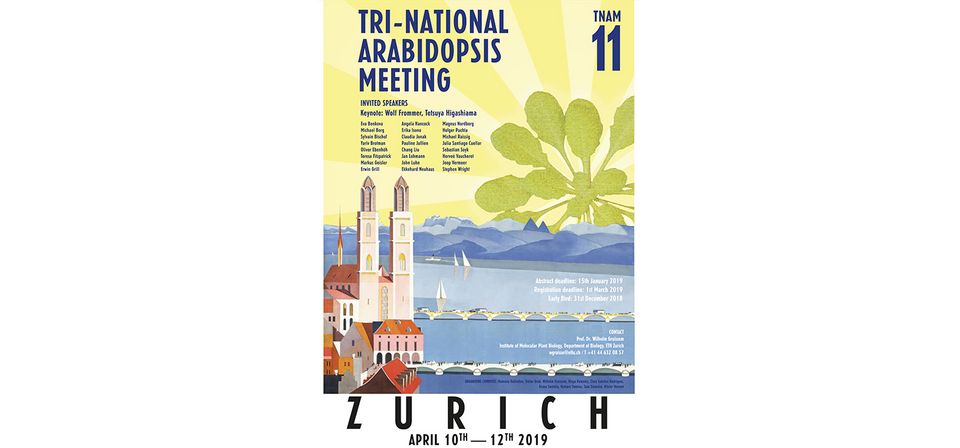 TNAM 2019 poster TNAM 2019 poster