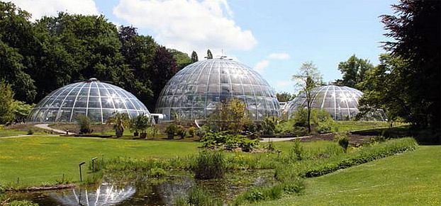 Botanischer Garten der Uni Zürich