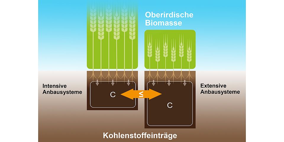 Kohlenstoffeintrag Boden