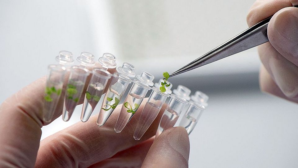 Labwork 3, Astrid Eckert, Technical University of Munich