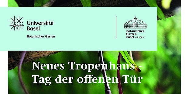 Univ Basel Botanischer Garten Flyer Tropenhauseröffnung Mai 2023