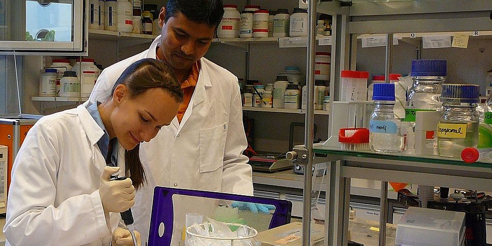 lab work