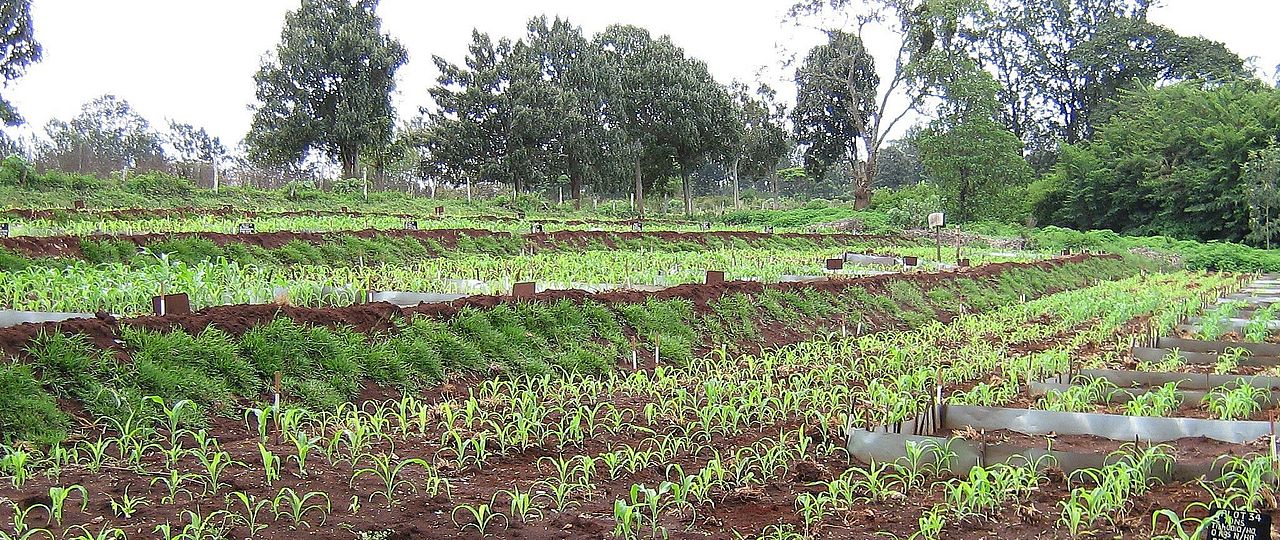 Soil fertility trial Johan Six ETH Zurich