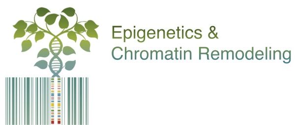 Epigenetics and Chromatin Remodeling