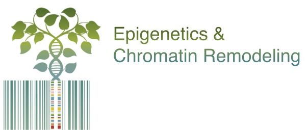Epigenetics & Chromatin Remodeling