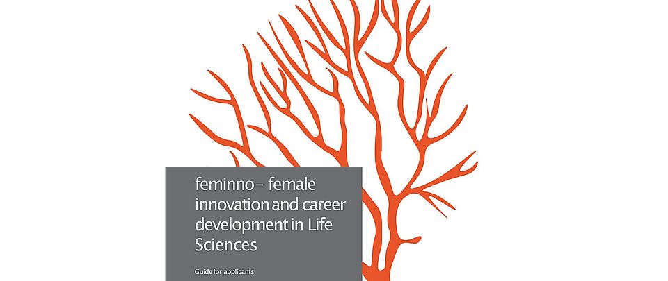 feminno mentoring