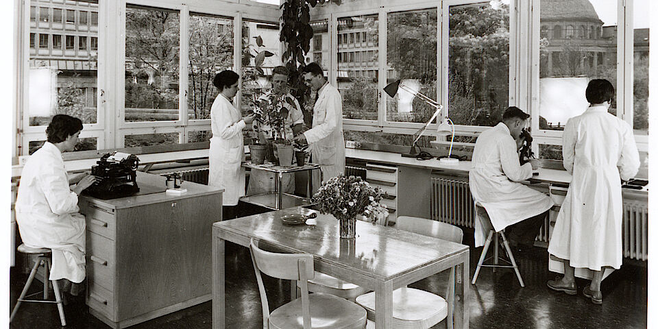 ETH Zürich, Institut für allgemeine Botanik, Mikroskopiersaal 1955