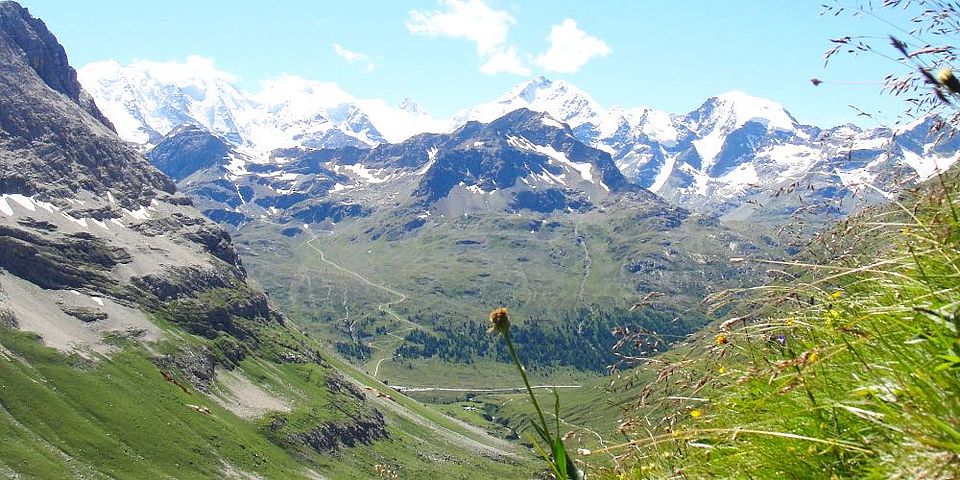 View on the Piz Bernina range. Sabine Rumpf Uni Basel
