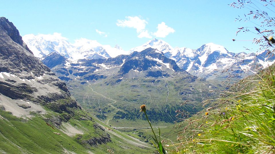 View of the Piz Bernina range. Sabine Rumpf Univ Basel