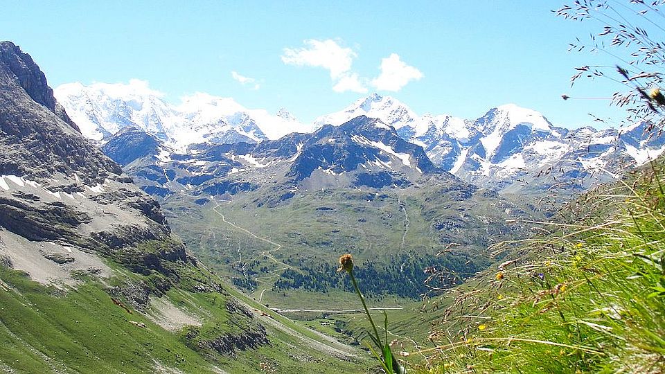 View of the Piz Bernina range. Sabine Rumpf Univ Basel