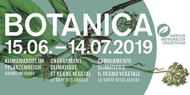 BOTANICA sommer 2019