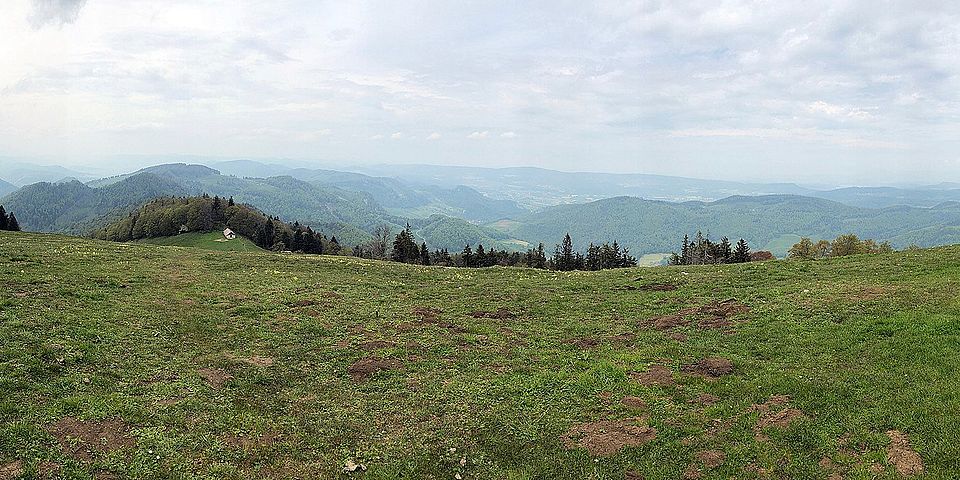 landscape