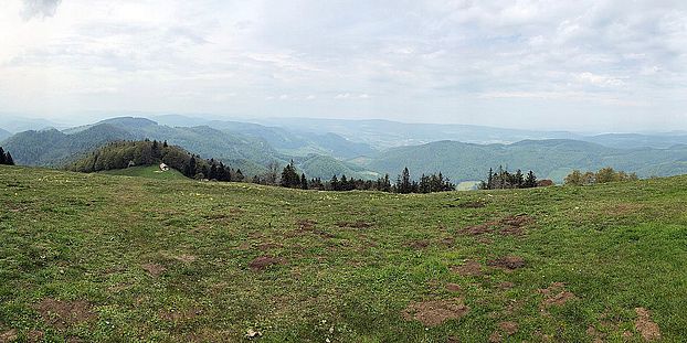 landscape