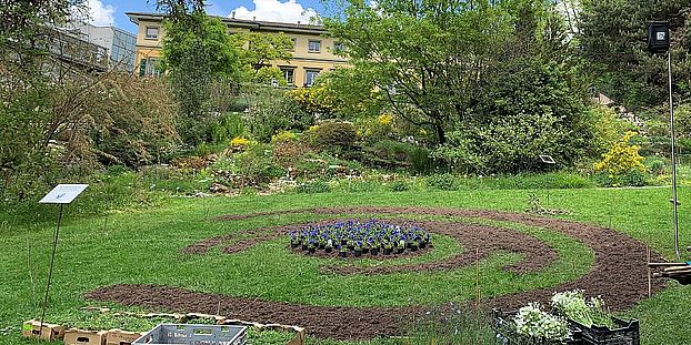 Bepflanzung der Blumenuhr. Foto Katja Rembold