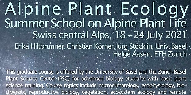 alpine plant life summer school 2021