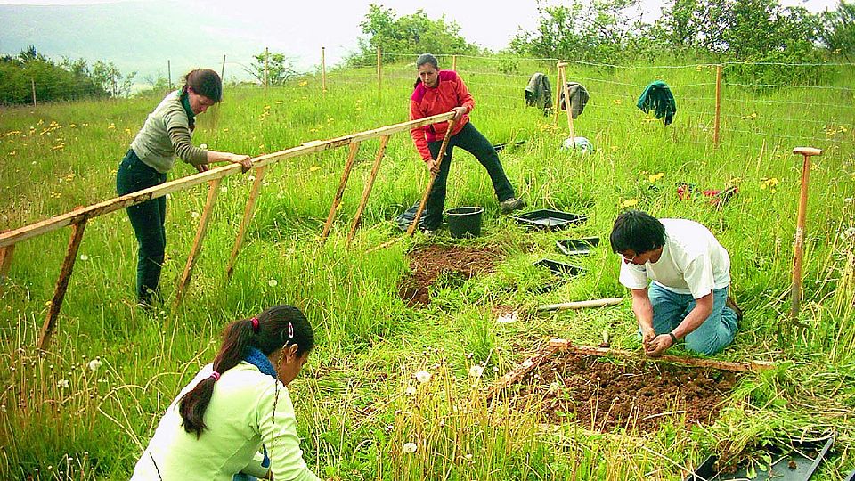 field experiment