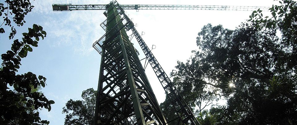 Canopy crane Borneo