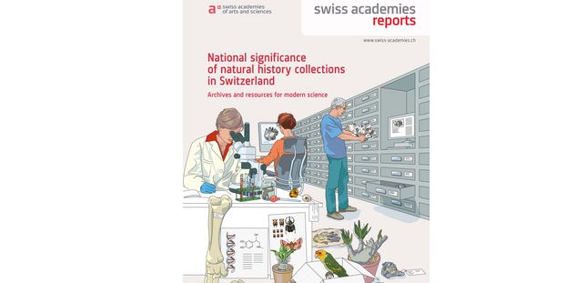 Collections report cover