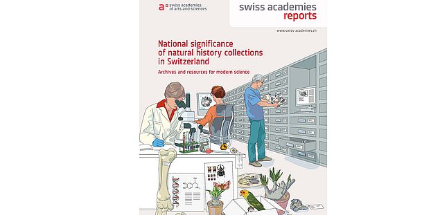 Collections report cover