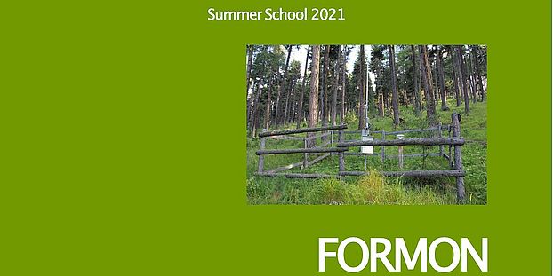 summer school formon