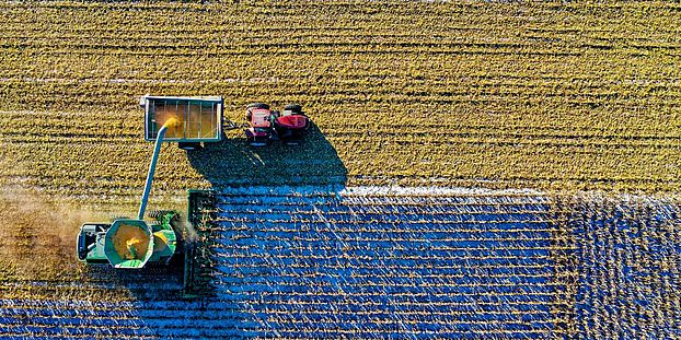 agriculture image Tom Fisk Pexels