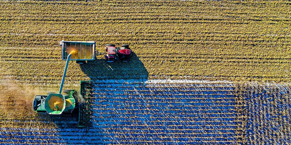 agriculture image Tom Fisk Pexels