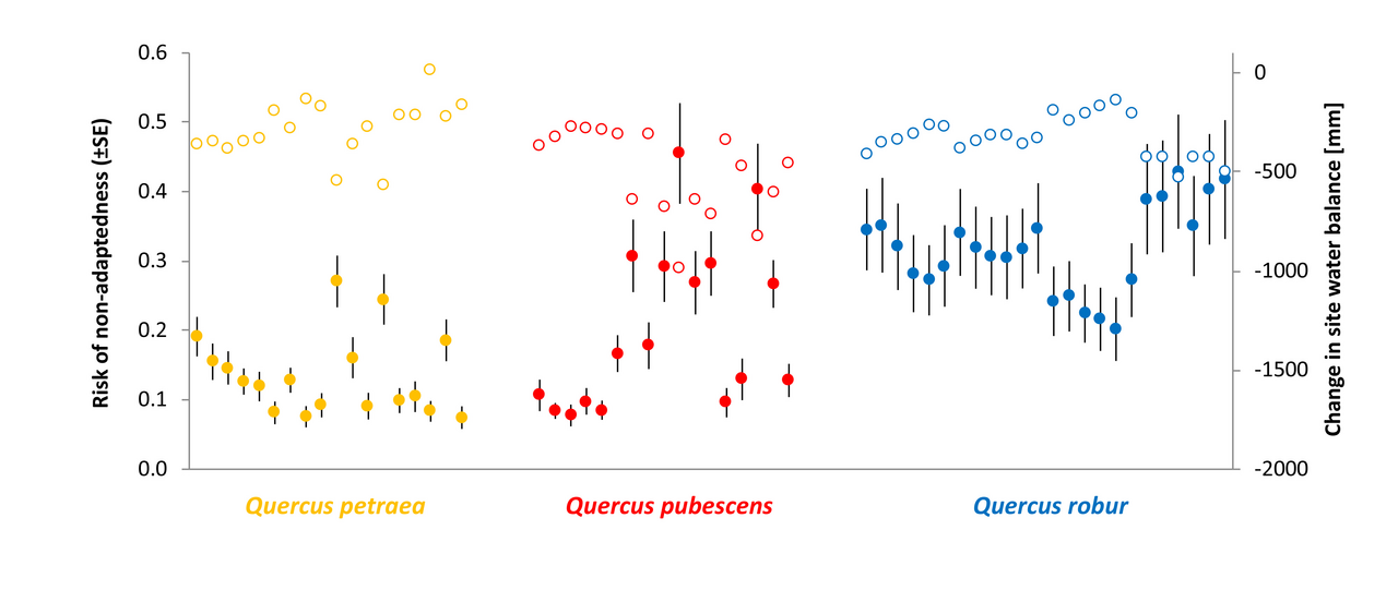 Risk of non-adaptedness Quercus Felix Gugerli