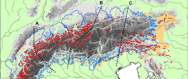 Campanula thyrsoides distribution Alps