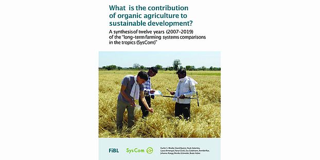 SysCom report cover