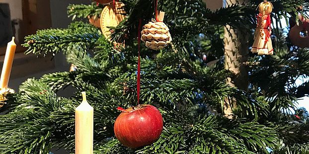 Fraurotacher Apfel an Weihnachtsbaum