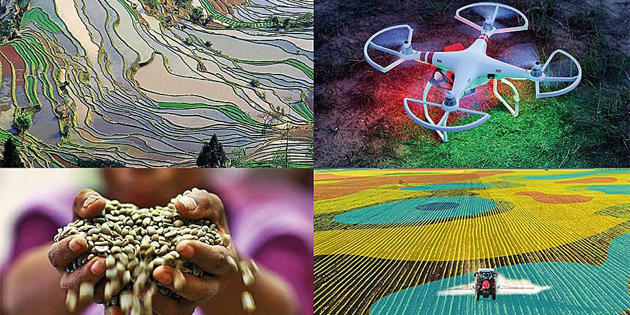Zurich-Basel Plant Science Center Summer School 2018 flyer
