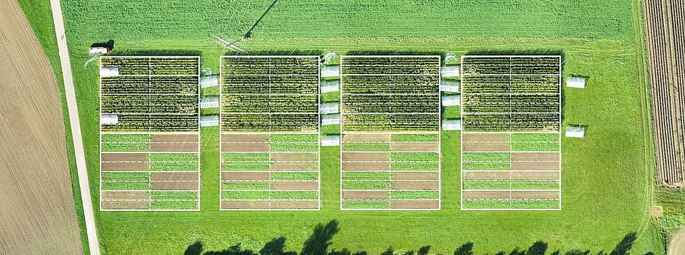 fields from above ©Raffael Wittwer agroscope