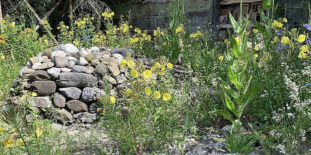 Steinhaufen Botanischer Garten Bern