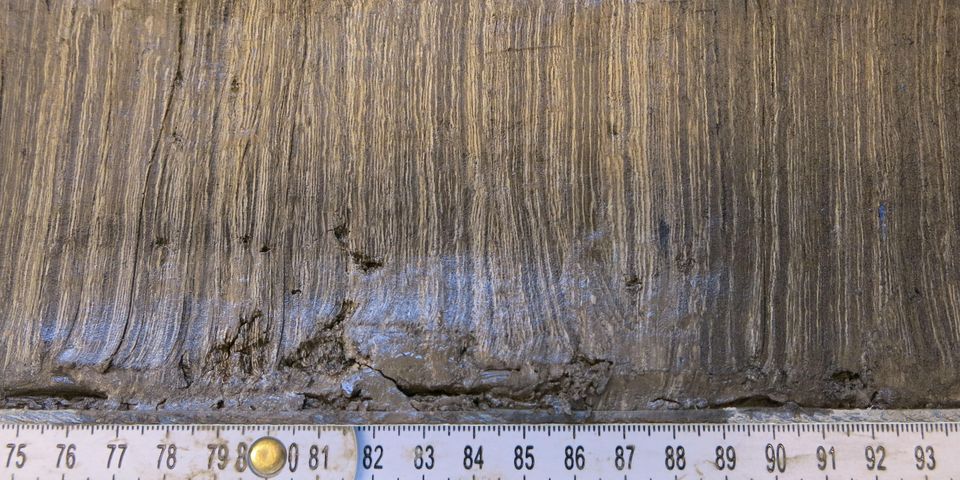 Moosseesediment