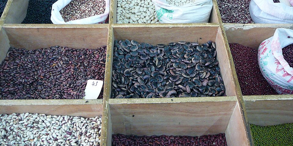 diversity of beans fopd 2019