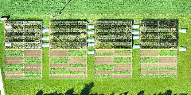 Fields seen from above @Raphael Wittwer, agroscope