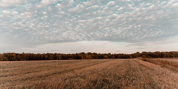 agricultural land, pic by Irina Iriser from Pexels