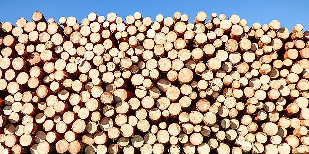 Logs pexel pixabay