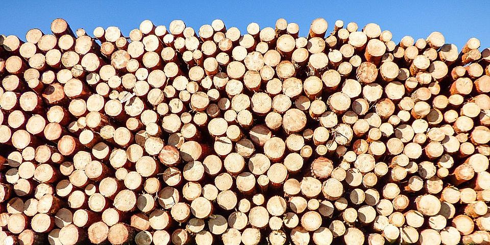 Logs pexel pixabay