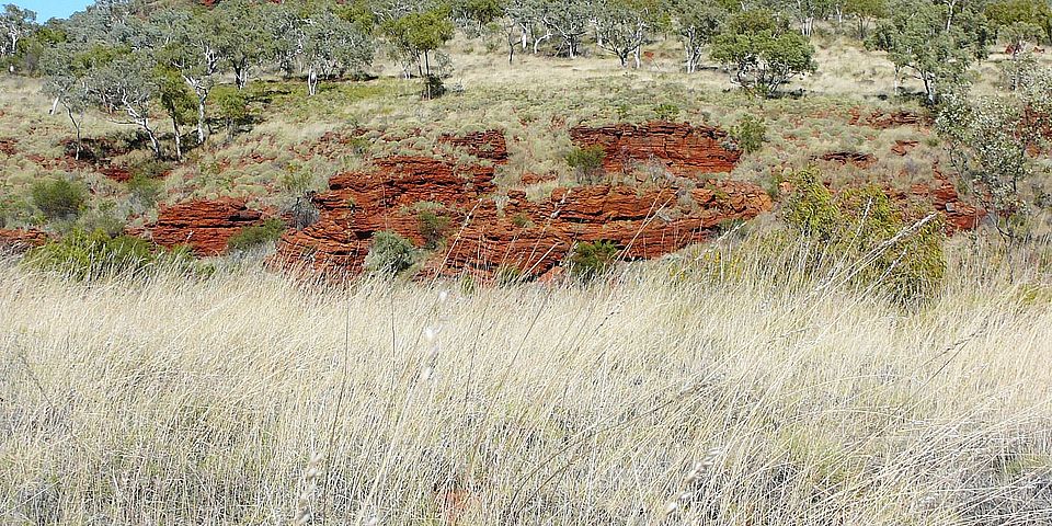 Western Australia