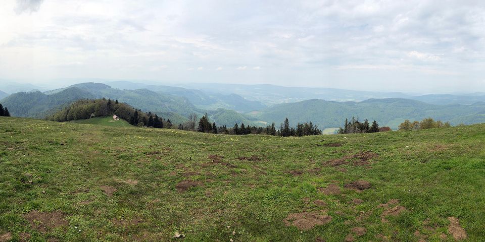 landscape