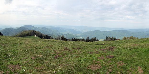 landscape